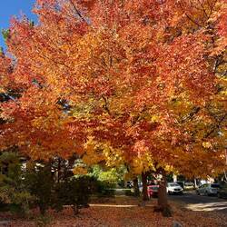 Betörende Farben überall wohin man sieht
