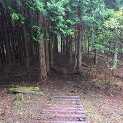 Der Start auf dem Sisin