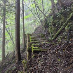 Dem trau ich auch nicht ganz