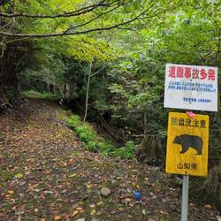 Die solls hier auch geben 😉