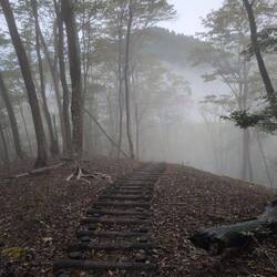 Der Weg endet im Nebel...