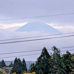 Abends aus der Sauna: da isser wieder, aber nur ganz kurz