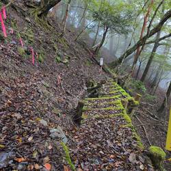 Das sieht ganz schön wackelig aus