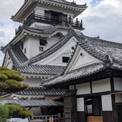 Kochi Castle