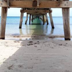 My artistic photo - ha!