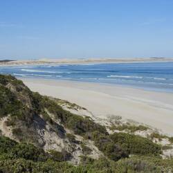 Coffin Bay NP - lovely beach