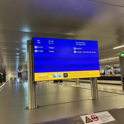 Angekommen in Frankfurt: Jetzt heißt es geduldig auf die Koffer warten.