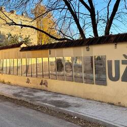 Ausfertigung in vielen Sprachen