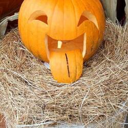 Getting ready for Halloween