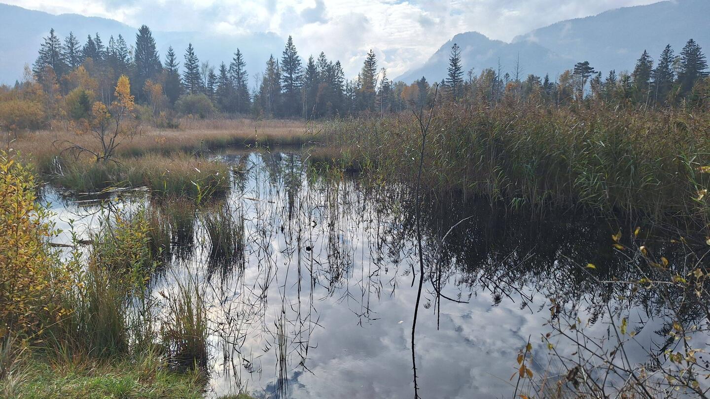 The moor on my early morning run