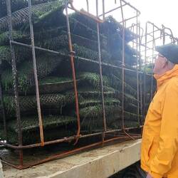 Und noch viel mehr Austern. Mittwoch hat der Laden auf!