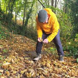 Und immer wieder Maronen. Der Beutel ist schon gut gefüllt.