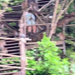 Monkey-Trail ist voll mit Makaken!