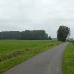 At least there aren't any cobblestones