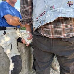 Ask your local dealer