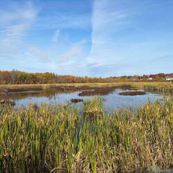We passed a large pond.
