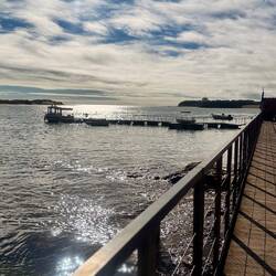 Balade sur les passerelles du port ...