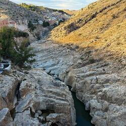 Vielfältige Landschaft ...