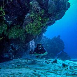 Tolle Korallenformationen