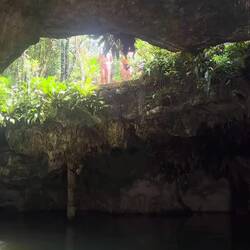 Cenote!
