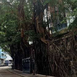 Look at the tree roots growing along the walls!