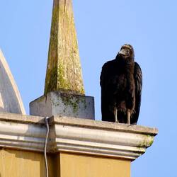 Heute mal von nah... bisschen gruselig sind sie!