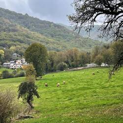 View from the B&B's back porch.