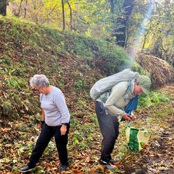 I stopped to help collect chest nuts 😀