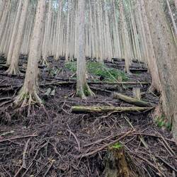 Sieht man, wie steil der Hang ist?