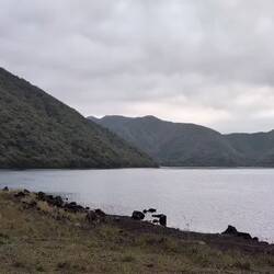 Motosu See (leider graul