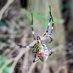 Die sieht doch cool aus, oder?