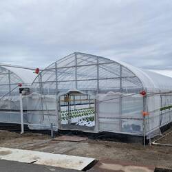 Miles of greenhouses for vegetables like aubergines