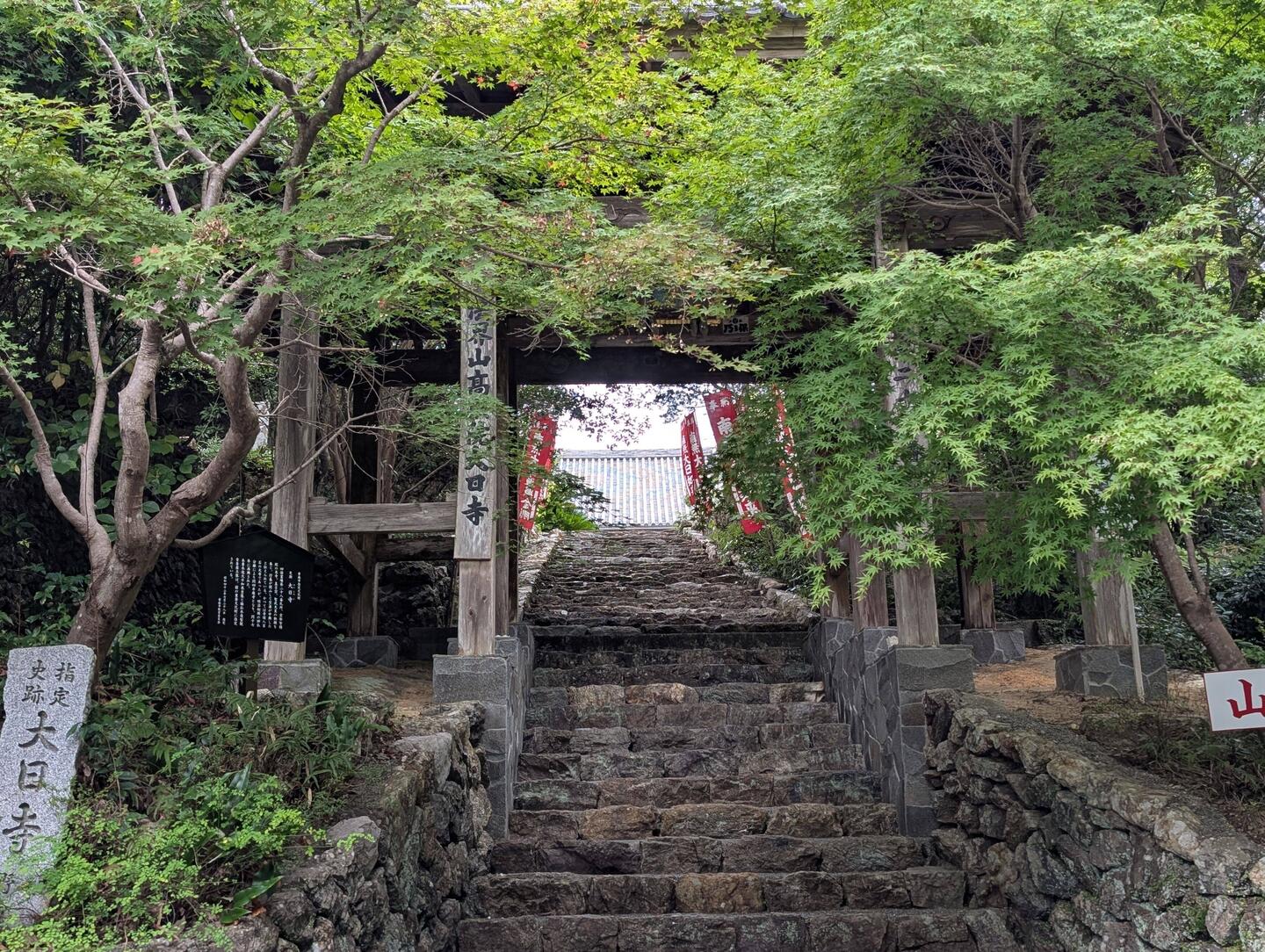 Temple 28, main gate in maple trees