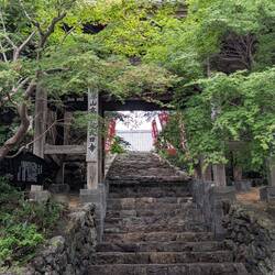 Temple 28, main gate in maple trees