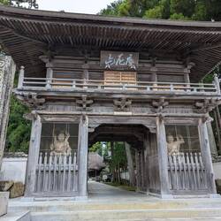 Temple 29 main gate