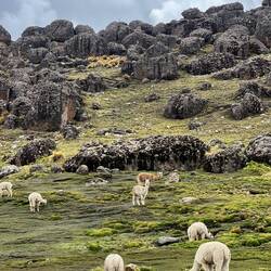 Bouldery rock formations