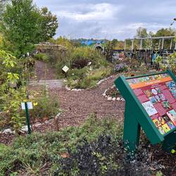 Part of the kiddos fairy garden in the Museum park