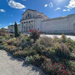 Art Gallery in Forest Park