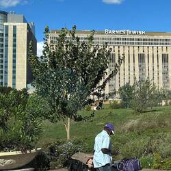 A major research hospital in St. Louis