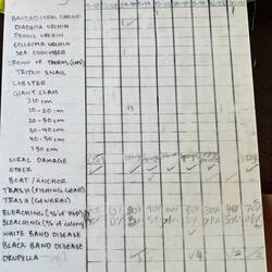 Reef Restoration - notieren der Wirbellosen und Korallenschäden