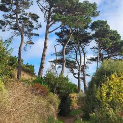 GR 34, meistens gut begehbar.