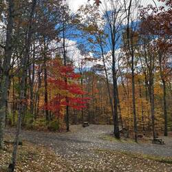 Color in a nearby campsite