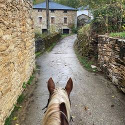 Bonnie knew where to go!