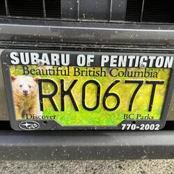 Ein Stück Kanada: Nummernschild mit Bärenmotiv.