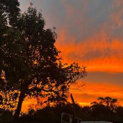 Stunning Aussie sunset