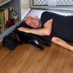 Dog pillow. Libby the support dog, in many ways!