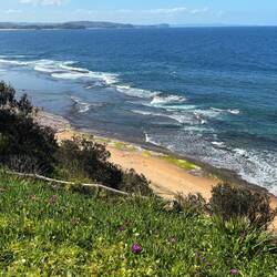 View north from Long Reef headland