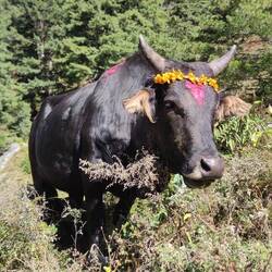 Hübsch geschminkt heute die Kleine