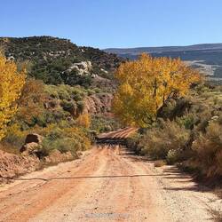 Dinosaur NM/ Blue Mountain Road