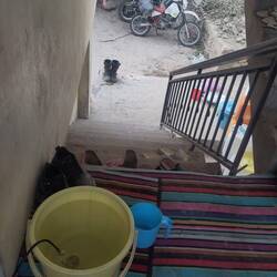 ...a home of one room and a rudimental kitchen in the stair house.